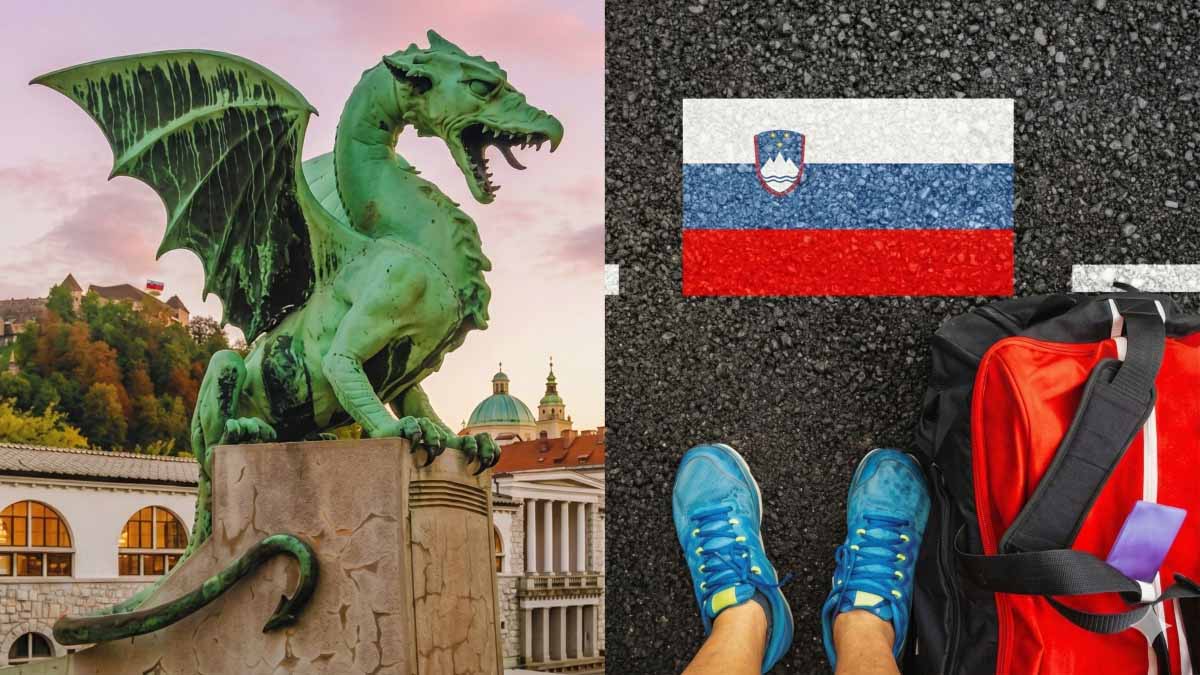 Consistent bank statement and FBR tax returns for Slovenia Nomad Visa Pakistan approval.